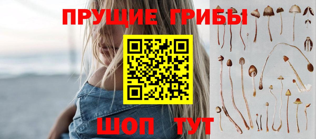 Галлюциногенные грибы GOLDEN TEACHER Зеленокумск