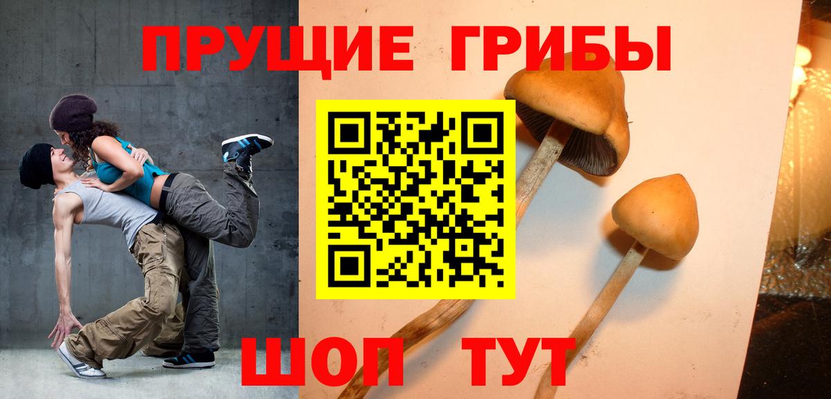 Галлюциногенные грибы мицелий  даркнет сайт  Псилоцибиновые грибы Psilocybe  Зеленокумск  Вход с VPN 